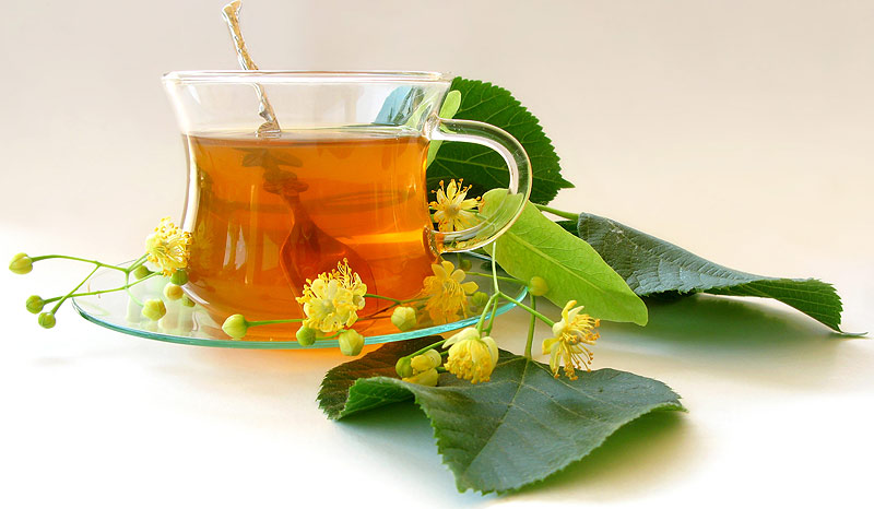 Лучшее средство от гриппа — зеленый чай