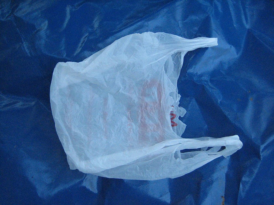 С 1 января 2011 года в Италии вступает в силу запрет на использование и производство пластиковых пакетов