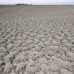 Засуха в Африке
