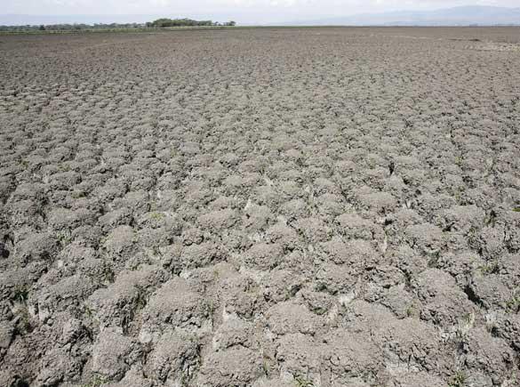 Засуха в Восточной Африке