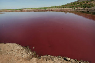 Голубое озеро в Техасе стало кроваво-красным