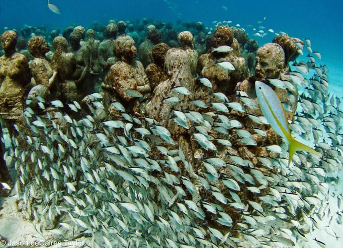 Скульптуры уже обжитые кораллами