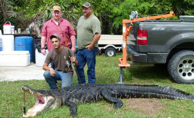 360-килограммового аллигатора поймали на удочку