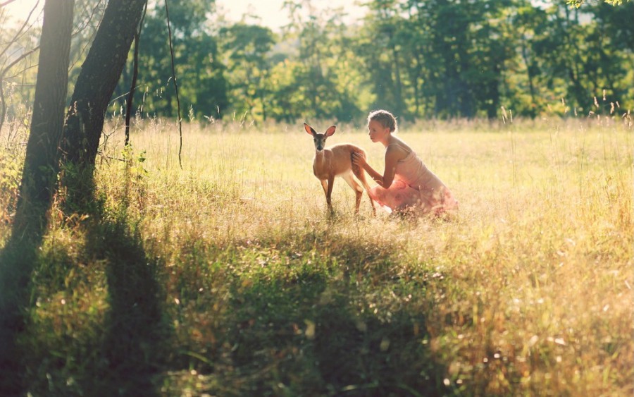 Игры с олененком, фотограф Эмили Ли