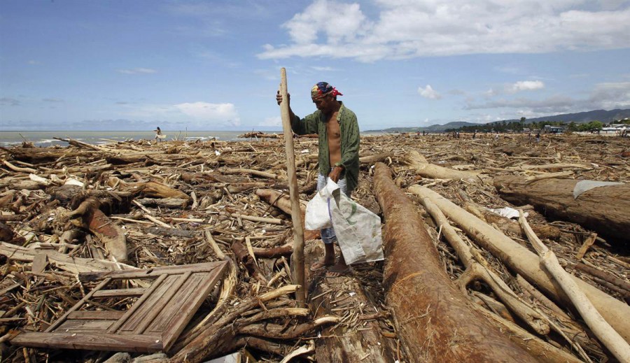 Человек собирает древесину, выброшенную на берег
