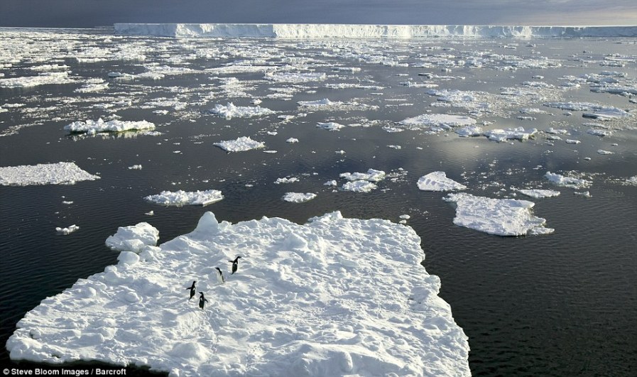 Четыре пингвина Адели на льдине перед самым большим айсбергом в мире Б-15