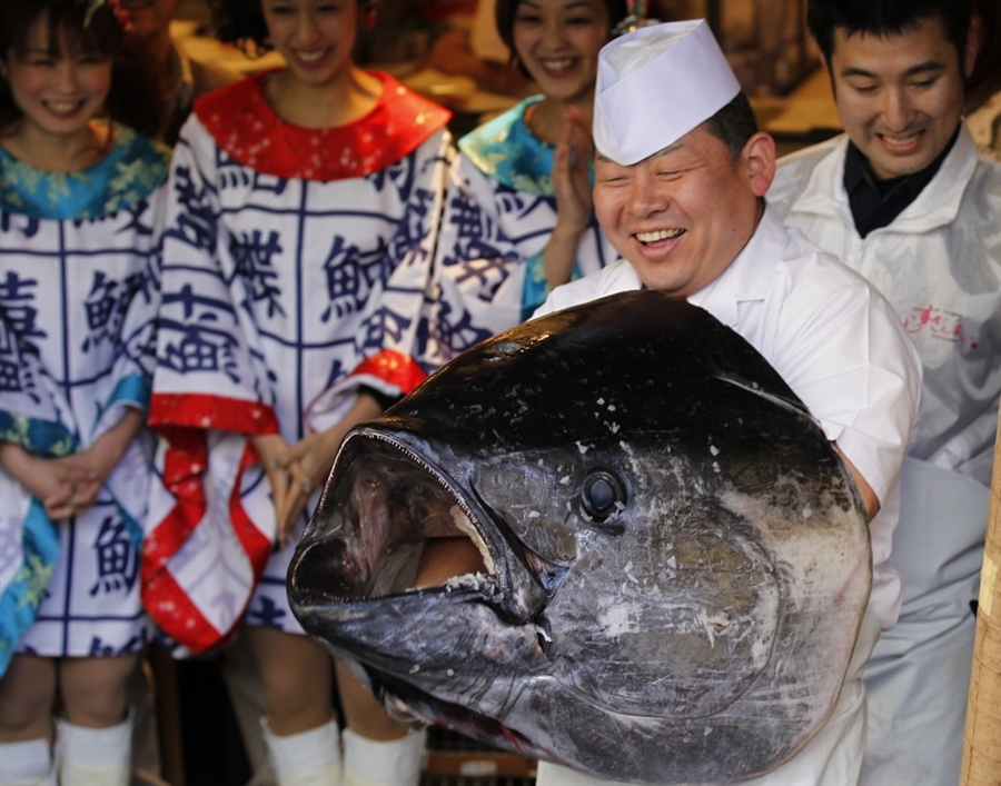 Рекордный тунец на аукционе в Японии за 736 000 долларов