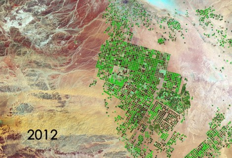 Зеленые поля посреди пустыни