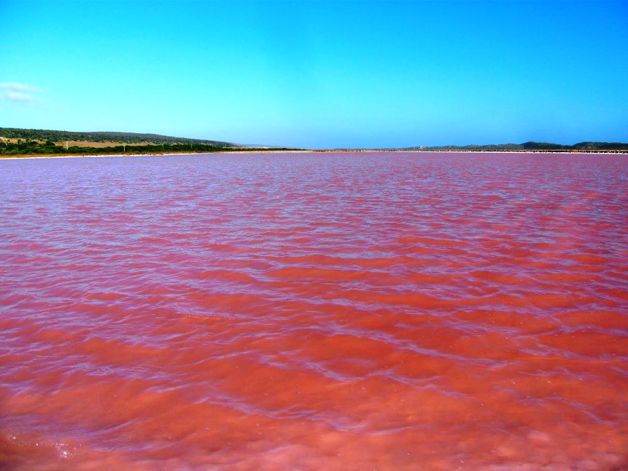 Розовое озеро — озеро Ретба