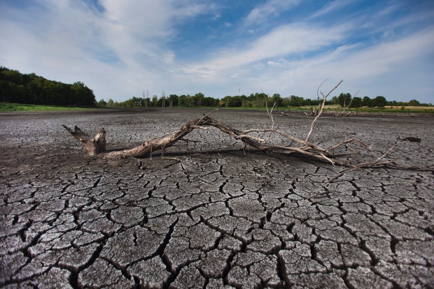 США страдают от ужасной засухи