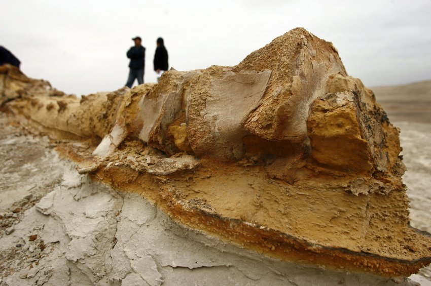 Окаменевшие скелеты китов в пустыне Окукайе