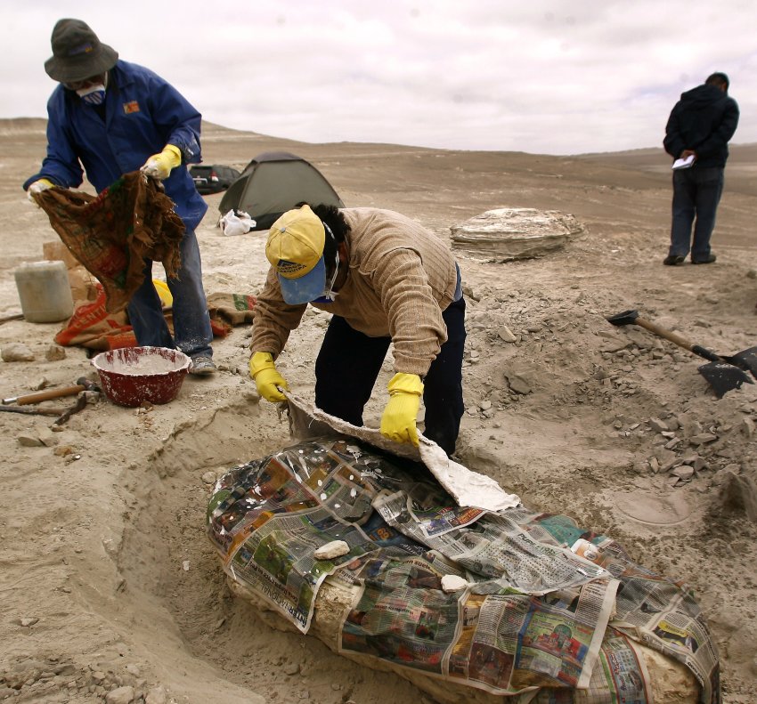 Окаменевшие скелеты китов в пустыне Окукайе