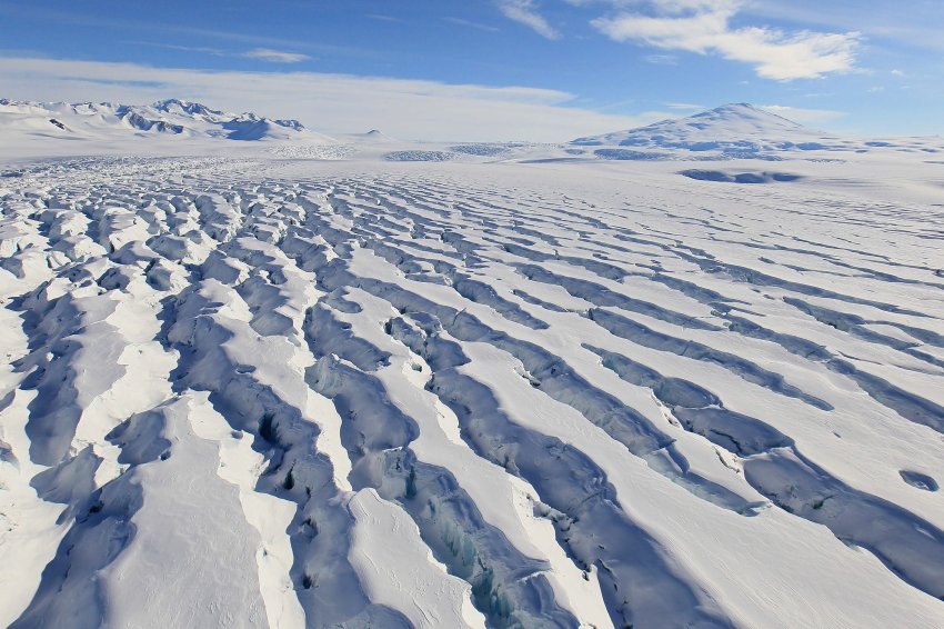 52 млн. лет назад Антарктика была покрыта лесами