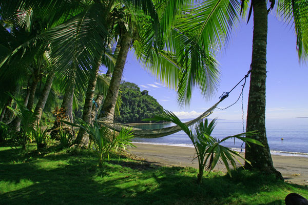 Почему туризм в Коста-рике популярен во всем мире