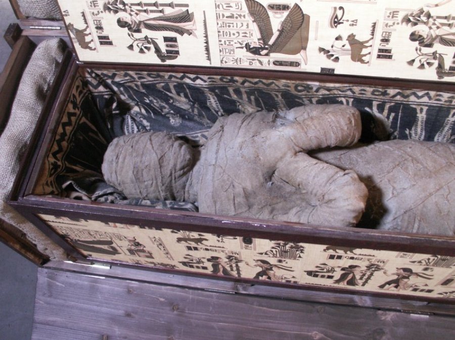 Ребенок нашел на чердаке саркофаг с египетской мумией