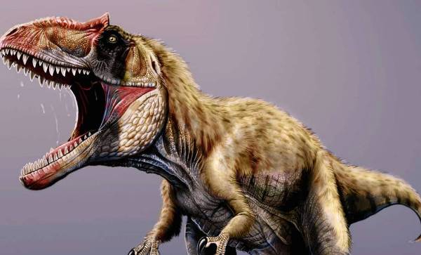 Ученые нашли скелет самого кровожадного динозавра