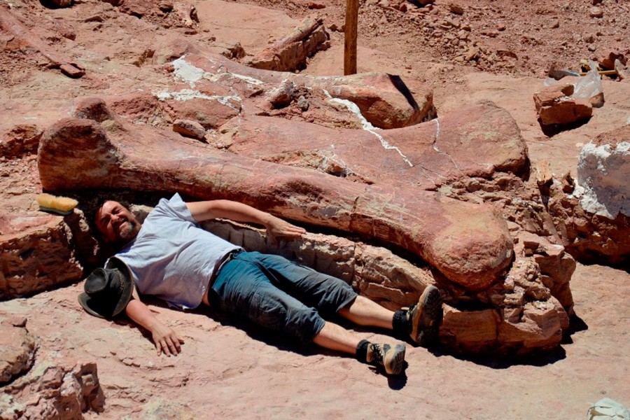 Палеонтологи нашли скелет самого большого динозавра