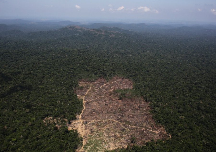 Вырубка лесов в Южной Америке 