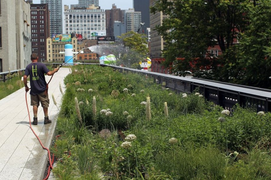 Парк High Line 