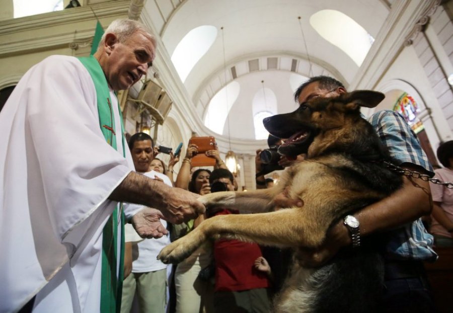 В Маниле священники благословили животных
