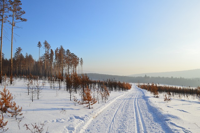 Где можно отдохнуть зимой в России?